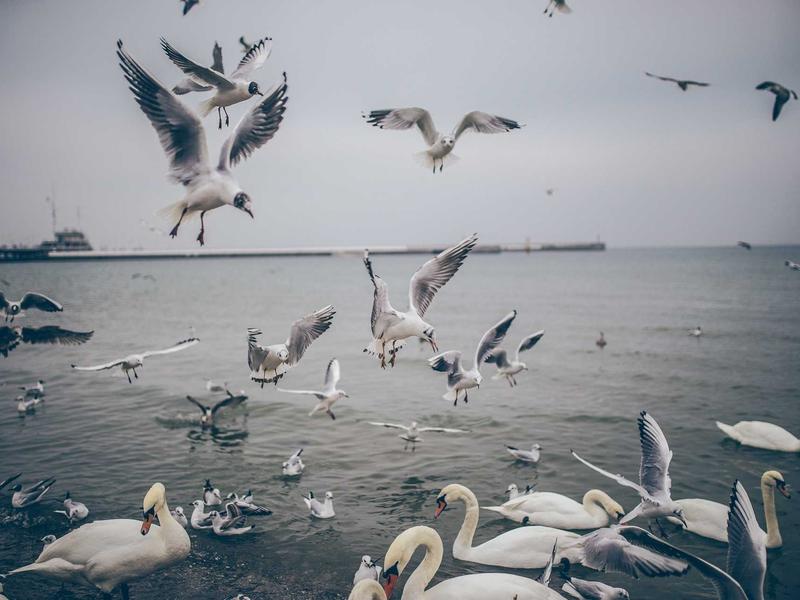 android screenshot 1